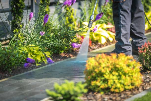 Best Sign and Awning Cleaning  in Round Lake Beach, IL